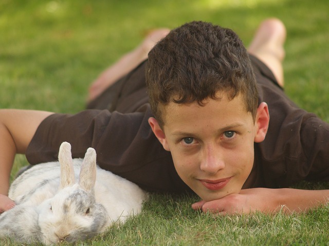 chlapec a králík